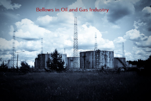  bellows-in-oil-gas-industry